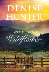 Wodospad Wildflower - Denise Hunter - ebook + książka