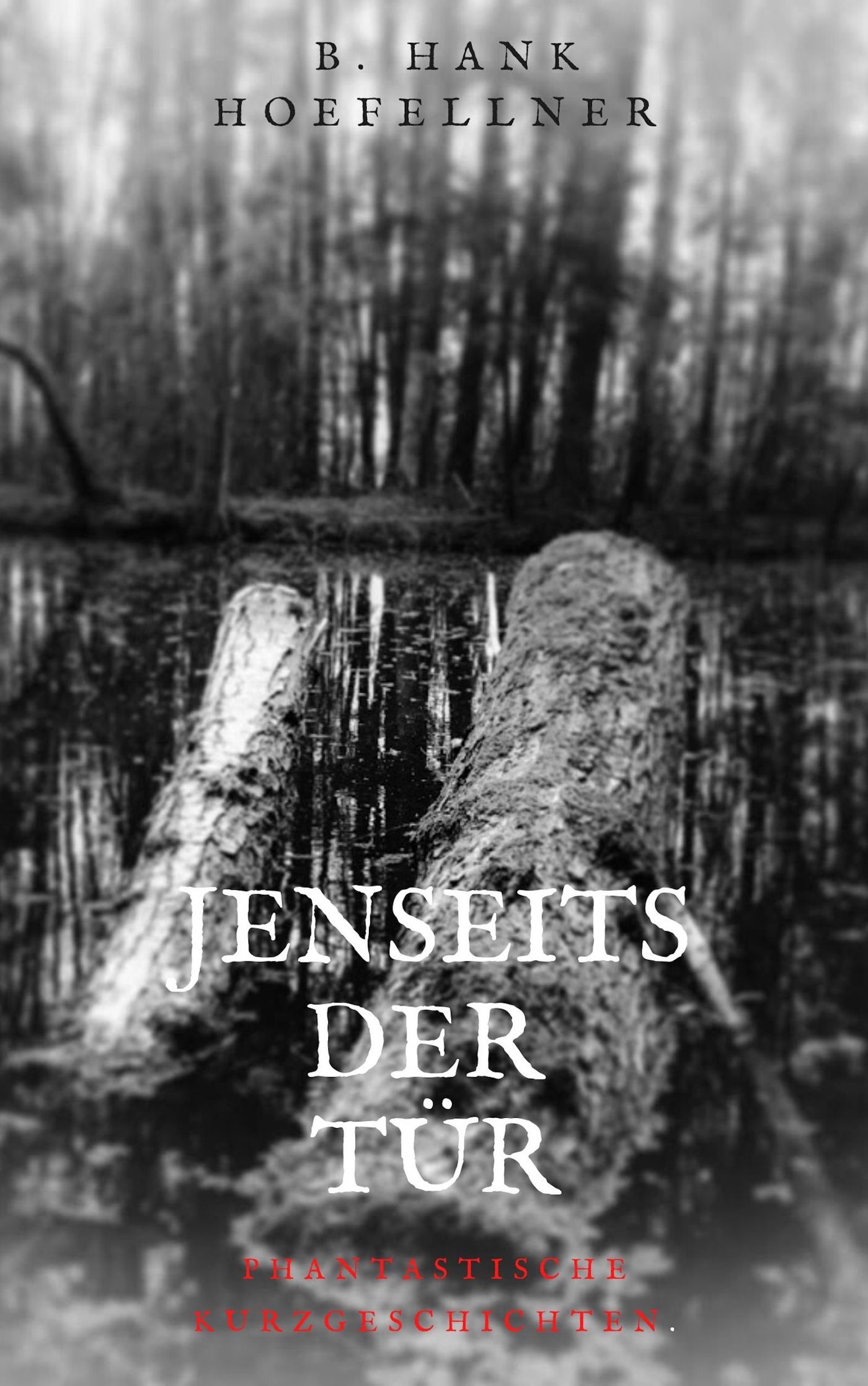 Jenseits der Tür - Bernhard Höfellner - ebook