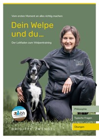 Leitfaden fürs Welpentraining - Dein Welpe und Du - Brigitte Zwengel - ebook