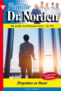 Nirgendwo zu Hause - Vandenberg Patricia - ebook