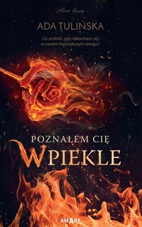 Poznałem Cię w piekle - Ada Tulińska - ebook + audiobook + książka