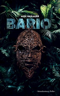 Bario - Alex Haslauer - ebook