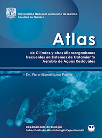 Atlas de ciliados y otros microorganismos frecuentes en plantas de sistemas aerobio de aguas residuales - Víctor Manuel Luna Pabello - ebook
