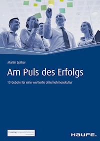 Am Puls des Erfolgs - Martin Spilker - ebook