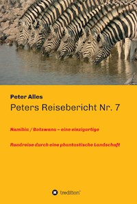 Peters Reisebericht Nr. 7 - Peter Alles - ebook