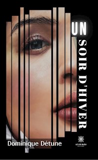 Un soir d'hiver - Dominique Détune - ebook