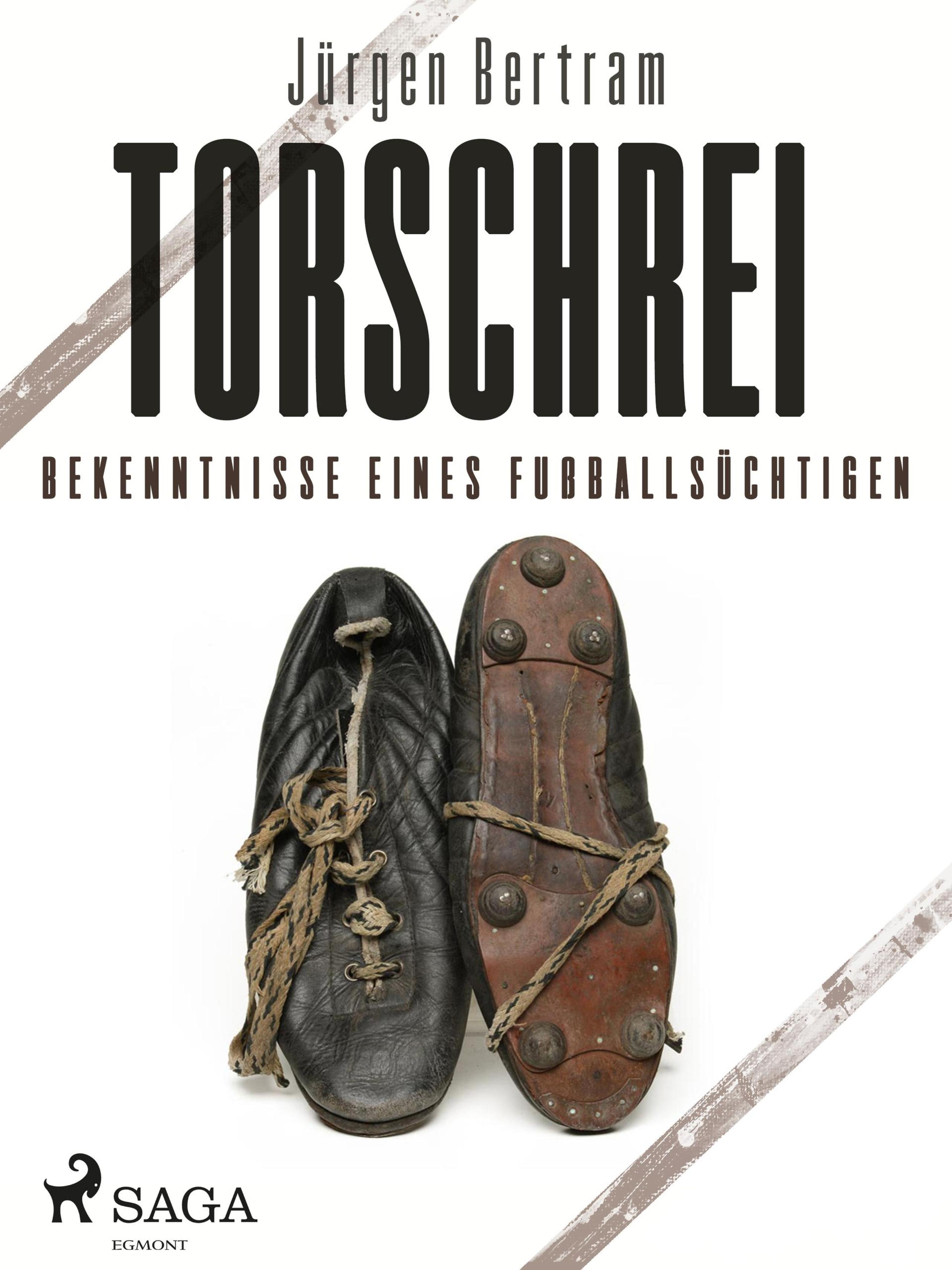 Torschrei - Bekenntnisse eines Fußballsüchtigen