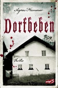 Dorfbeben - Agnes Hammer - ebook