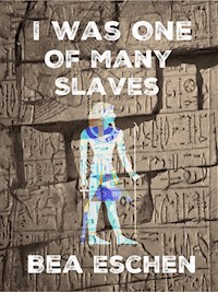 I Was One Of Many Slaves - Bea Eschen - ebook