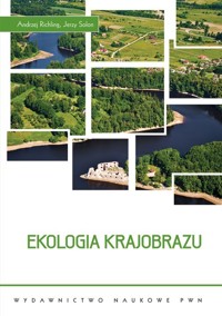 Ekologia krajobrazu - Richling Andrzej, Solon Jerzy - książka