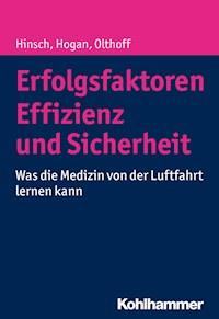 Erfolgsfaktoren Effizienz und Sicherheit - Martin Hinsch - ebook