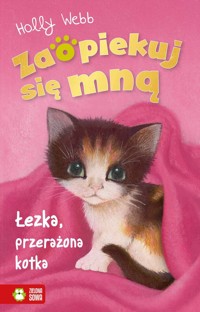 Zaopiekuj się mną. Łezka przerażona kotka - Holly Webb - książka