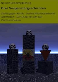 Drei Gespenstergeschichten - Norbert Schimmelpfennig - ebook