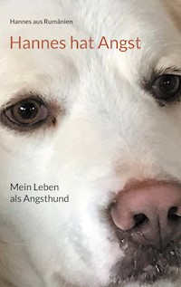 Hannes hat Angst - Hannes aus Rumänien - ebook