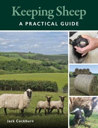 Keeping Sheep - Jack Cockburn - ebook