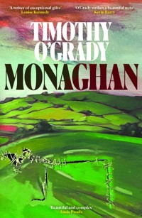 Monaghan - Timothy O'Grady - ebook