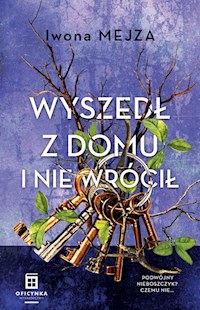 Wyszedł z domu i nie wrócił - Mejza Iwona - ebook + audiobook + książka