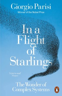 In a Flight of Starlings - Parisi Giorgio - książka