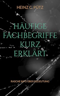 Häufige Fachbegriffe kurz erklärt - Heinz C. Pütz - ebook