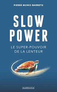 Slow Power - Pierre Moniz-Barreto - ebook