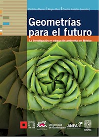 Geometrías para el futuro - Alicia Castillo Álvarez - ebook