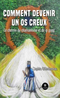 Comment devenir un os creux - Sophia Clémenceau - ebook