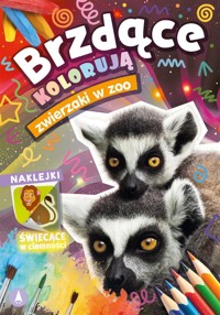 Brzdące kolorują. Zwierzaki w zoo - zbiorowa praca - książka
