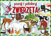 Poznaj i pokoloruj zwierzęta - Krzysztof Tonder - książka