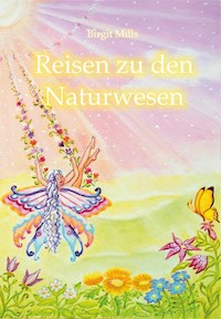 Reisen zu den Naturwesen - Birgit Mills - ebook