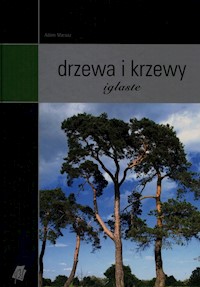 Drzewa i krzewy iglaste - Marosz Adam - książka