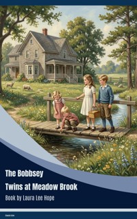The Bobbsey Twins at Meadow Brook - Laura Lee Hope - ebook