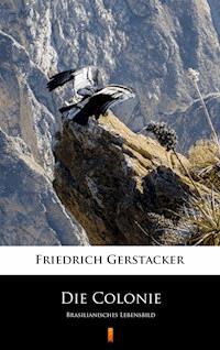 Die Colonie. Brasilianisches Lebensbild - Friedrich Gerstäcker - ebook