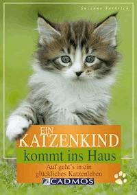 Ein Katzenkind kommt ins Haus - Susanne Vorbrich - ebook