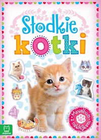 Minialbum z naklejkami Słodkie kotki -  - książka