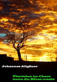 Überleben im Chaos wenn die Börse crasht - Johannes Allgäuer - ebook