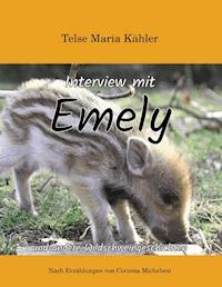 Interview mit Emely - Telse Maria Kähler - ebook