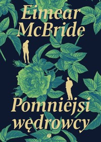 Pomniejsi wędrowcy - Eimear McBride - książka
