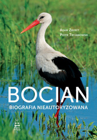 Bocian. Biografia nieautoryzowana - Adam Zbyryt, Piotr Tryjanowski  - ebook + książka