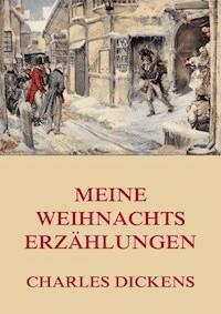 Meine Weihnachtserzählungen - Dickens Charles - ebook