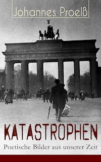 Katastrophen - Poetische Bilder aus unserer Zeit - Johannes Proelß - ebook