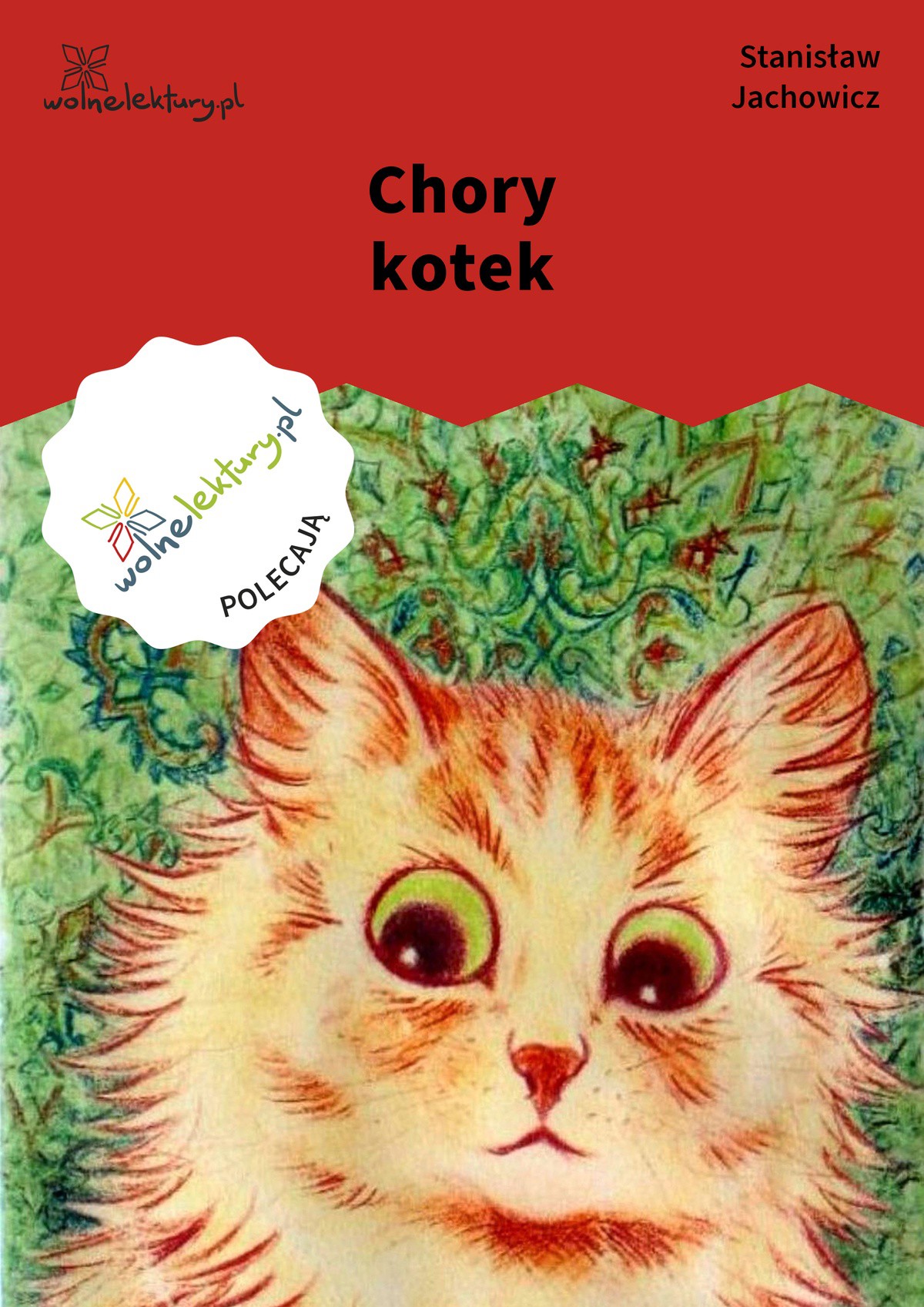 Chory kotek