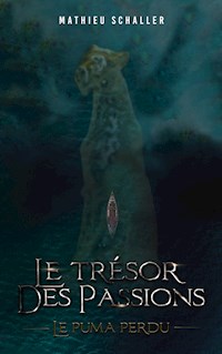 Le Trésor des Passions - Mathieu Schaller - ebook