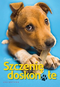 Szczenię doskonałe - Bailey Gwen - książka