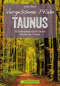 Wanderführer Taunus: 35 Touren abseits des Trubels im wunderschönen Taunus - Antje Bayer - ebook