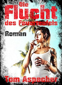 Die Flucht des Feuerteufels - Tom Aspacher - ebook