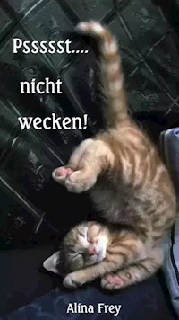 Psssst... nicht wecken! - Alina Frey - ebook