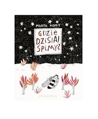 Gdzie dzisiaj śpimy - Kopyt Marta - książka