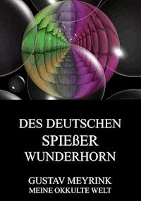 Des deutschen Spiessers Wunderhorn - Gustav Meyrink - ebook
