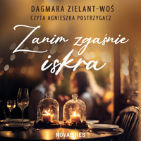 Zanim zgaśnie iskra - Dagmara Zielant-Woś - ebook + audiobook