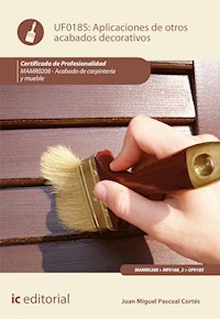 Aplicación de otros acabados decorativos. MAMR0208 - Juan Miguel Pascual Cortés - ebook